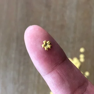 Gold Metal Cherry Blossom Embelishment appx 100pcs Sakura (Gold) - Image 3