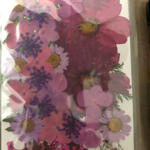 x Dried pressed flowers - Image 2