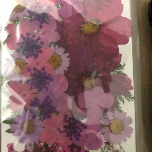 x Dried pressed flowers - Image 2