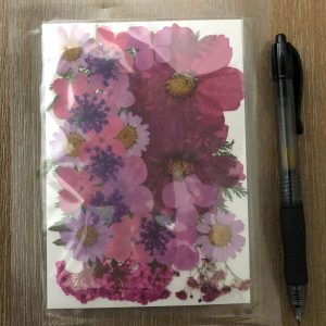 x Dried pressed flowers