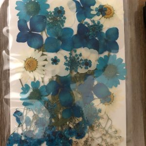 F Dried pressed flowers - Image 2