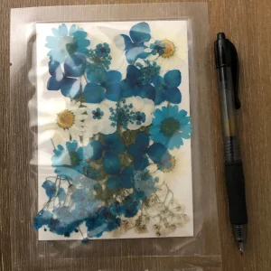 F Dried pressed flowers
