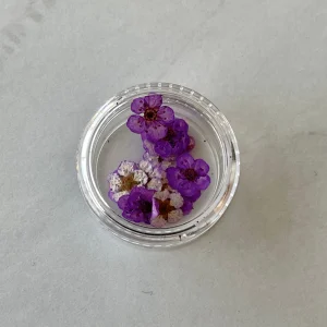 20pc per jar Forget Me Not pressed dried flowers (Dark Pink) - Image 4