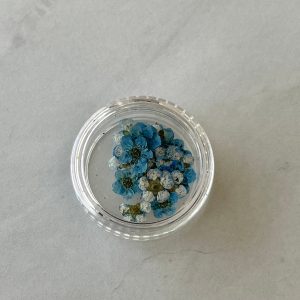 20pc per jar Forget Me Not pressed dried flowers (Blue) - Image 6