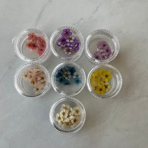20pc per jar Forget Me Not pressed dried flowers (Blue)