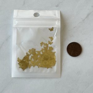 gold Butterfly nail embellishment
