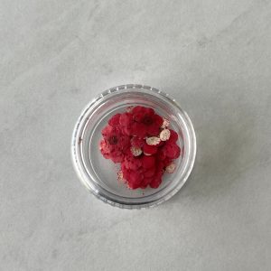20pc per jar Forget Me Not pressed dried flowers B (Pink B) - Image 4
