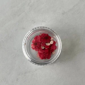 20pc per jar Forget Me Not pressed dried flowers B (Blue B) - Image 4