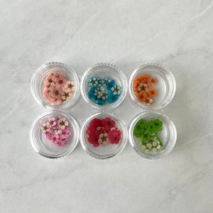 20pc per jar Forget Me Not pressed dried flowers B (Pink B)