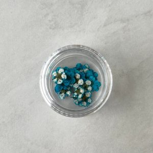 20pc per jar Forget Me Not pressed dried flowers B (Pink B) - Image 5