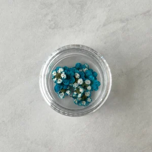 20pc per jar Forget Me Not pressed dried flowers B (Blue B) - Image 5