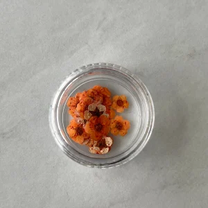 20pc per jar Forget Me Not pressed dried flowers B (Blue B) - Image 7