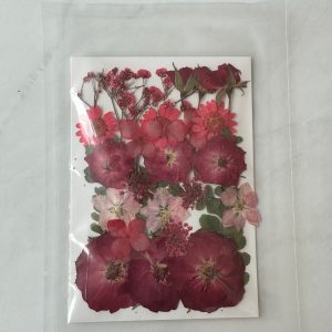 x Dried pressed flowers