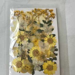 x Dried pressed flowers