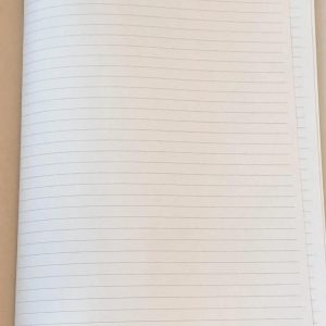Alternative view of U Disney Rapunzel notebook